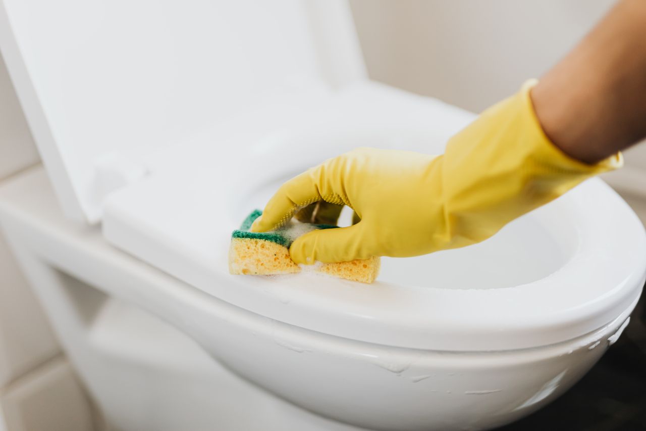 Crafting Captivating Headlines: Your awesome post title goes here From above of crop anonymous person in rubber gloves using soapy sponge while cleaning toilet bowl